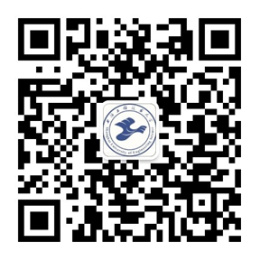 上海工程1.png